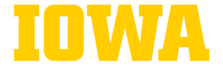 IOWA school logo