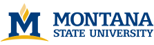 MSU school logo